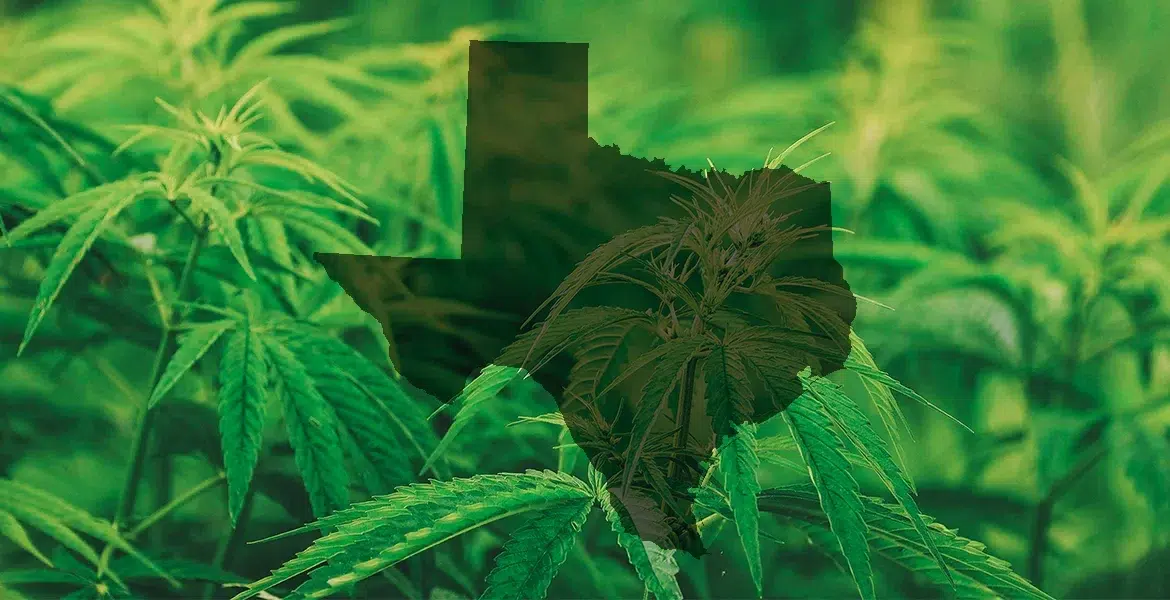 How To Get Medical Marijuana in Texas - Dr. B’s Compassionate Care